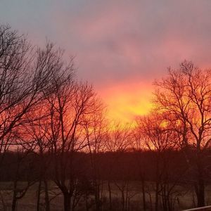 Meet your Posher, Judy